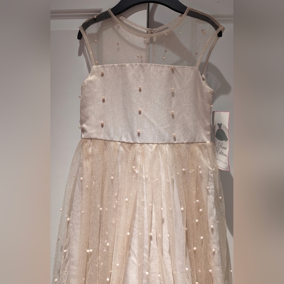Girl's Special Occasion Dress - Picture 1 of 4